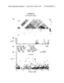 GENETIC VARIANTS AS MARKERS FOR USE IN DIAGNOSIS, PROGNOSIS AND TREATMENT     OF EOSINOPHILIA, ASTHMA, AND MYOCARDIAL INFARCTION diagram and image