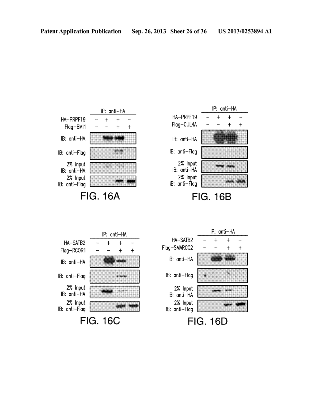 Systems And Methods For Predicting Protein-Protein Interactions - diagram, schematic, and image 27