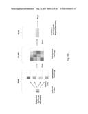 CONTENT DELIVERY SYSTEM WITH ALLOCATION OF SOURCE DATA AND REPAIR DATA     AMONG HTTP SERVERS diagram and image