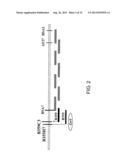 METHOD FOR PRODUCING CRUCIFEROUS PLANT RESISTANT TO CLUBROOT diagram and image