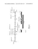 METHOD FOR PRODUCING CRUCIFEROUS PLANT RESISTANT TO CLUBROOT diagram and image