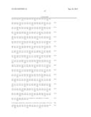 METHOD FOR PRODUCING CRUCIFEROUS PLANT RESISTANT TO CLUBROOT diagram and image