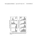 COMPOSITIONS AND METHODS FOR XYLEM-SPECIFIC EXPRESSION IN PLANT CELLS diagram and image