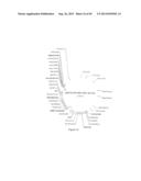 MANIPULATION OF PLANT SENESCENCE USING MODIFIED PROMOTERS diagram and image