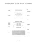 MANIPULATION OF PLANT SENESCENCE USING MODIFIED PROMOTERS diagram and image