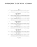 CONSTRUCT AND METHOD FOR SYNTHETIC BIDIRECTIONAL PLANT PROMOTER UBI1 diagram and image