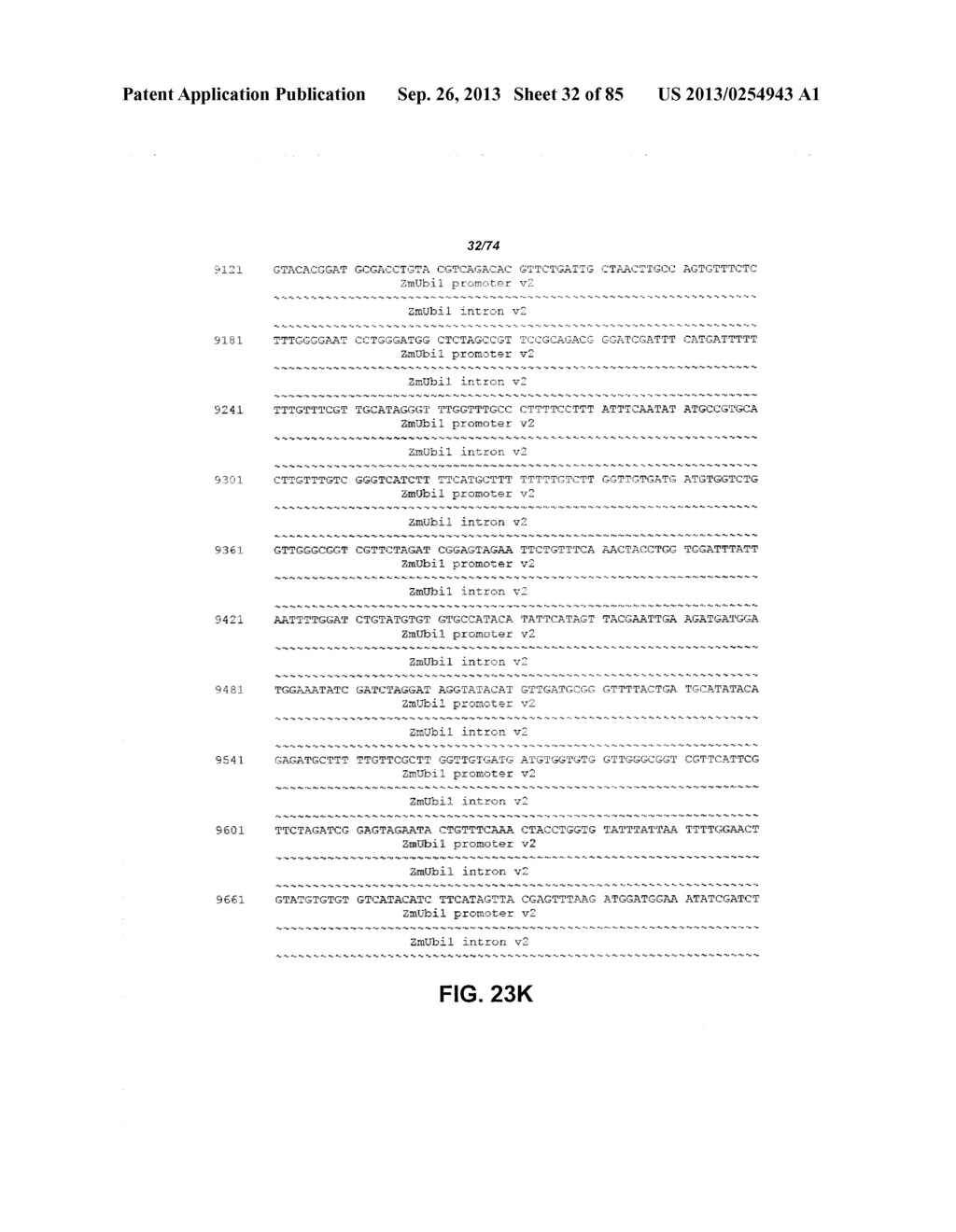 CONSTRUCT AND METHOD FOR SYNTHETIC BIDIRECTIONAL PLANT PROMOTER UBI1 - diagram, schematic, and image 33