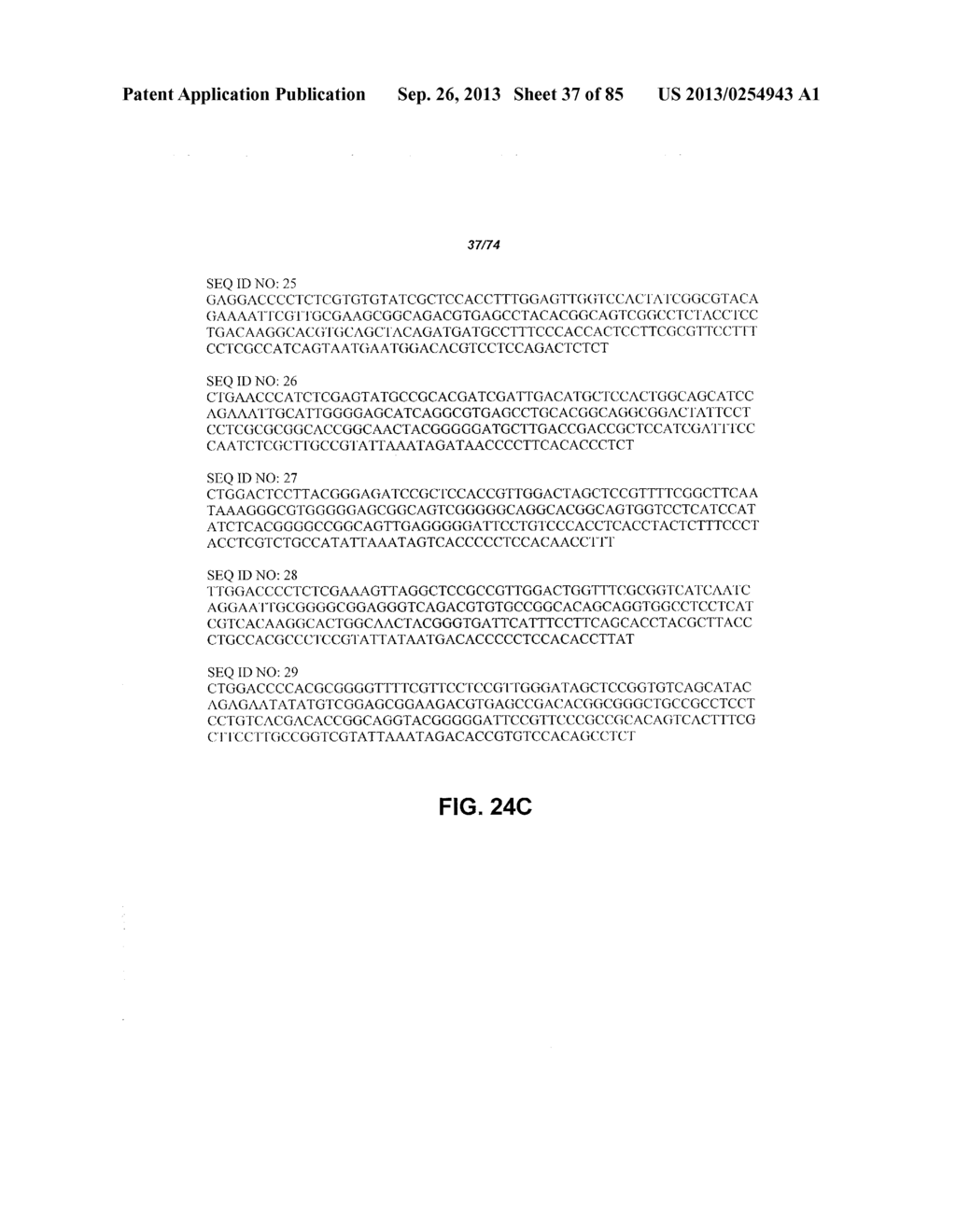 CONSTRUCT AND METHOD FOR SYNTHETIC BIDIRECTIONAL PLANT PROMOTER UBI1 - diagram, schematic, and image 38