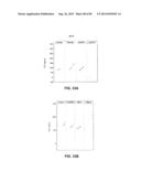 CONSTRUCT AND METHOD FOR SYNTHETIC BIDIRECTIONAL PLANT PROMOTER UBI1 diagram and image