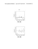 CONSTRUCT AND METHOD FOR SYNTHETIC BIDIRECTIONAL PLANT PROMOTER UBI1 diagram and image