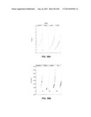 CONSTRUCT AND METHOD FOR SYNTHETIC BIDIRECTIONAL PLANT PROMOTER UBI1 diagram and image