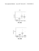 CONSTRUCT AND METHOD FOR SYNTHETIC BIDIRECTIONAL PLANT PROMOTER UBI1 diagram and image