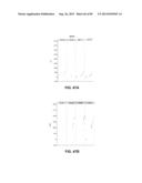 CONSTRUCT AND METHOD FOR SYNTHETIC BIDIRECTIONAL PLANT PROMOTER UBI1 diagram and image