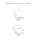 CONSTRUCT AND METHOD FOR SYNTHETIC BIDIRECTIONAL PLANT PROMOTER UBI1 diagram and image