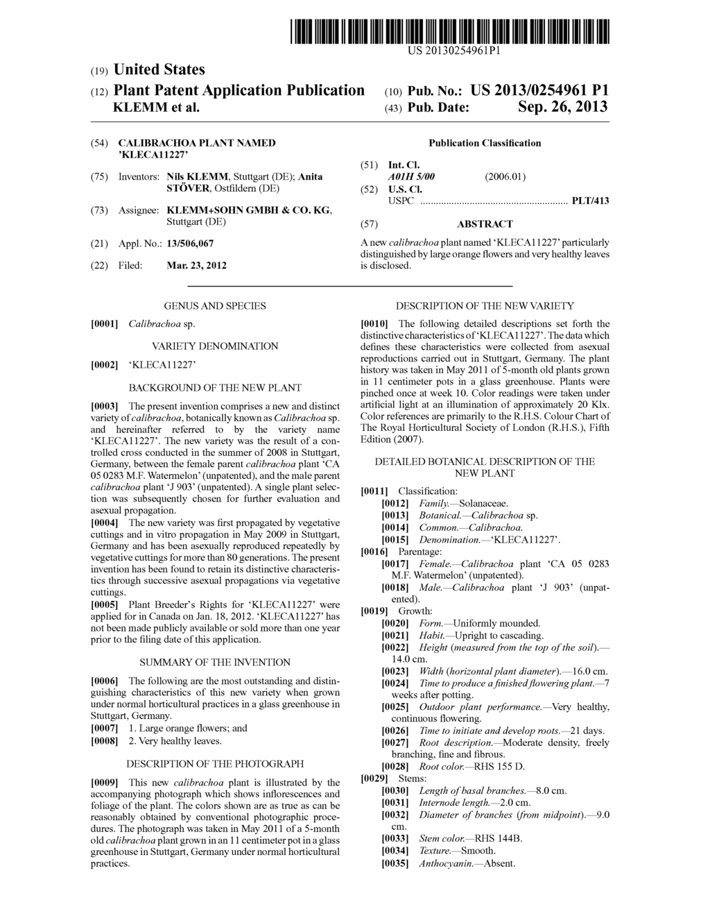 Calibrachoa plant named 'KLECA11227' - diagram, schematic, and image 01