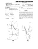 Limb Shield diagram and image