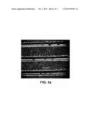 PROCESSES FOR PRODUCING CONDUCTIVE AND/OR PIEZORESISTIVE TRACES ON     POLYMERIC SUBSTRATES diagram and image