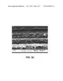 PROCESSES FOR PRODUCING CONDUCTIVE AND/OR PIEZORESISTIVE TRACES ON     POLYMERIC SUBSTRATES diagram and image