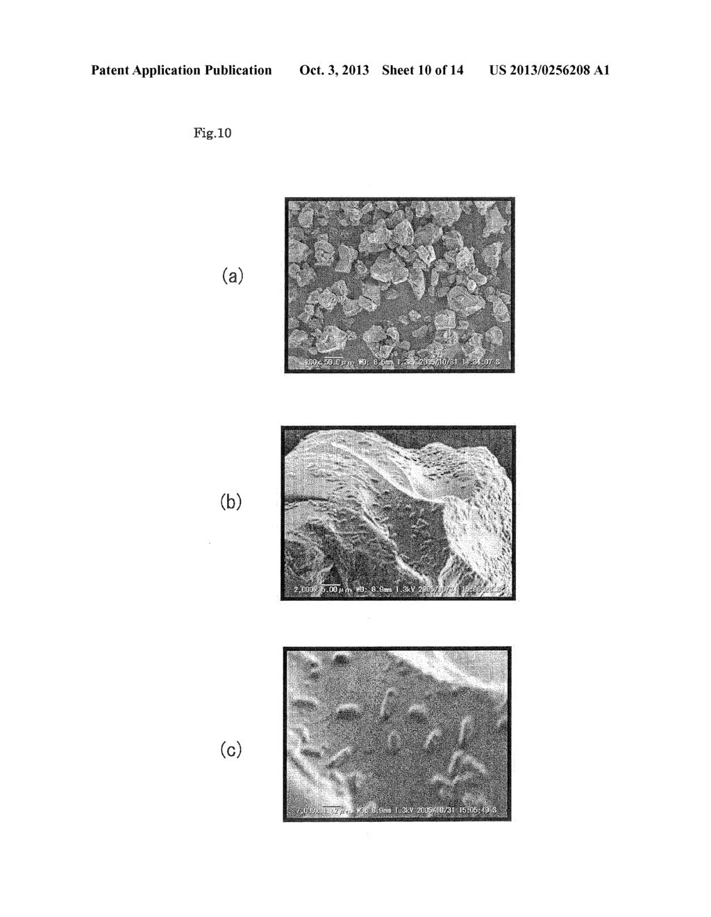 MATERIAL FOR CAPTURING MICROBES, DEVICE FOR CAPTURING MICROBES, METHOD OF     CAPTURING MICROBES, AND METHOD OF PRODUCING MATERIAL FOR CAPTURING     MICROBES - diagram, schematic, and image 11