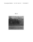 GROUP III NITRIDE COMPOUND SEMICONDUCTOR LIGHT EMITTING ELEMENT AND METHOD     FOR PRODUCING THE SAME diagram and image