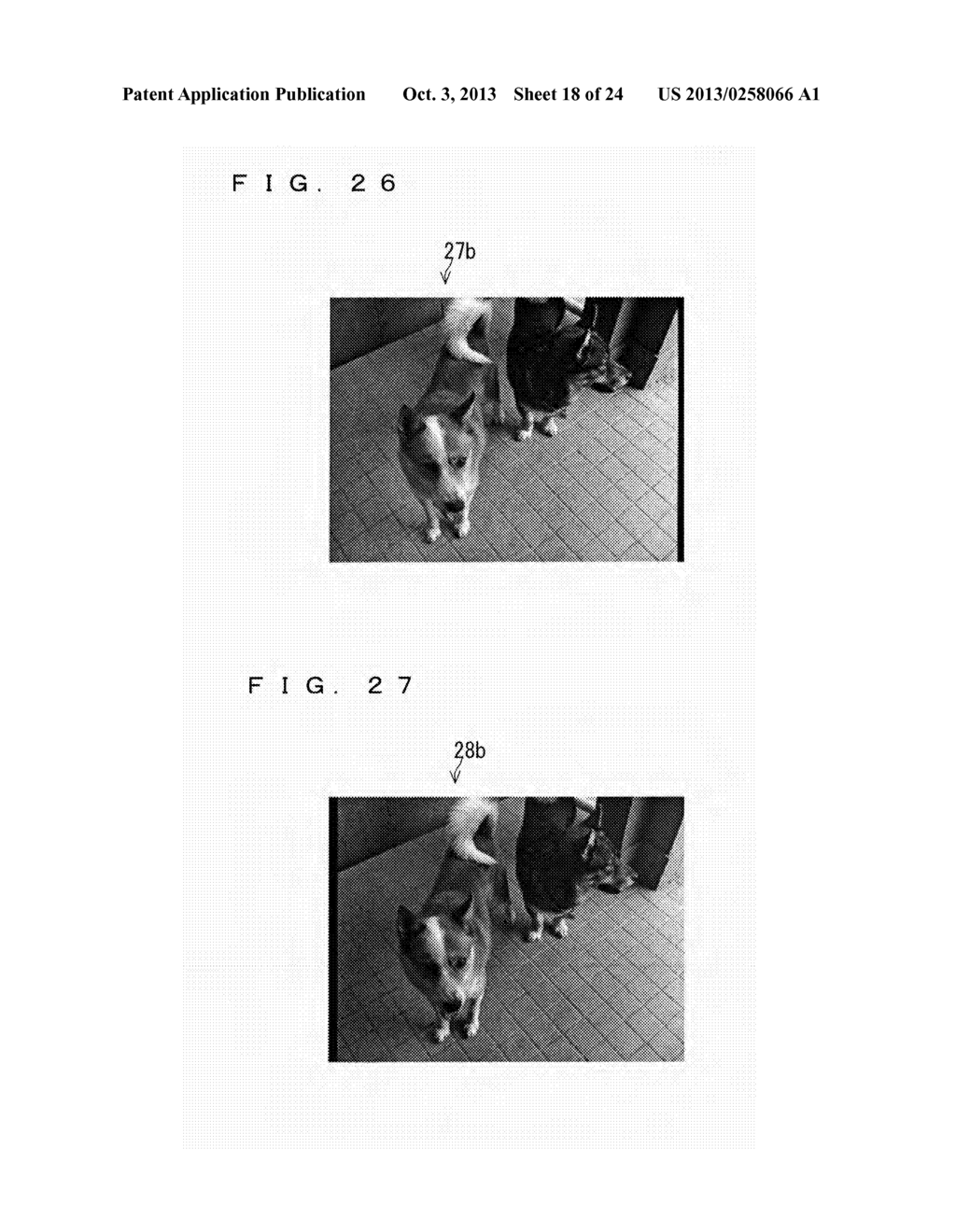 INFORMATION PROCESSOR AND INFORMATION PROCESSING METHOD - diagram, schematic, and image 19