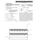 LAMINATE BODY AND MANUFACTURING METHOD THEREOF diagram and image