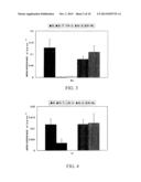 BIO-CO-CR-MO ALLOY WITH ION ELUTION SUPPRESSED BY STRUCTURE CONTROL, AND     PROCESS FOR PRODUCING SAME diagram and image