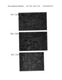 BIO-CO-CR-MO ALLOY WITH ION ELUTION SUPPRESSED BY STRUCTURE CONTROL, AND     PROCESS FOR PRODUCING SAME diagram and image