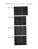 BIO-CO-CR-MO ALLOY WITH ION ELUTION SUPPRESSED BY STRUCTURE CONTROL, AND     PROCESS FOR PRODUCING SAME diagram and image