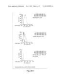 CLIP INHIBITORS AND METHODS OF MODULATING IMMUNE FUNCTION diagram and image