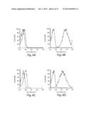 CLIP INHIBITORS AND METHODS OF MODULATING IMMUNE FUNCTION diagram and image