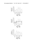 CLIP INHIBITORS AND METHODS OF MODULATING IMMUNE FUNCTION diagram and image