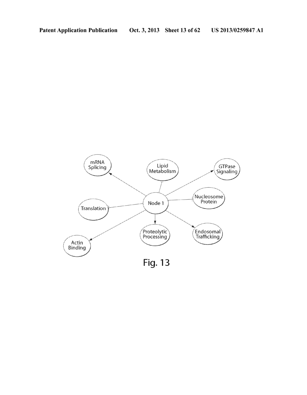 INTERROGATORY CELL-BASED ASSAYS AND USES THEREOF - diagram, schematic, and image 14