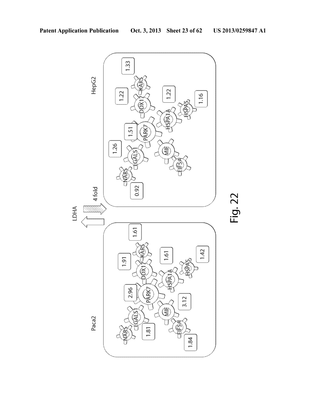 INTERROGATORY CELL-BASED ASSAYS AND USES THEREOF - diagram, schematic, and image 24