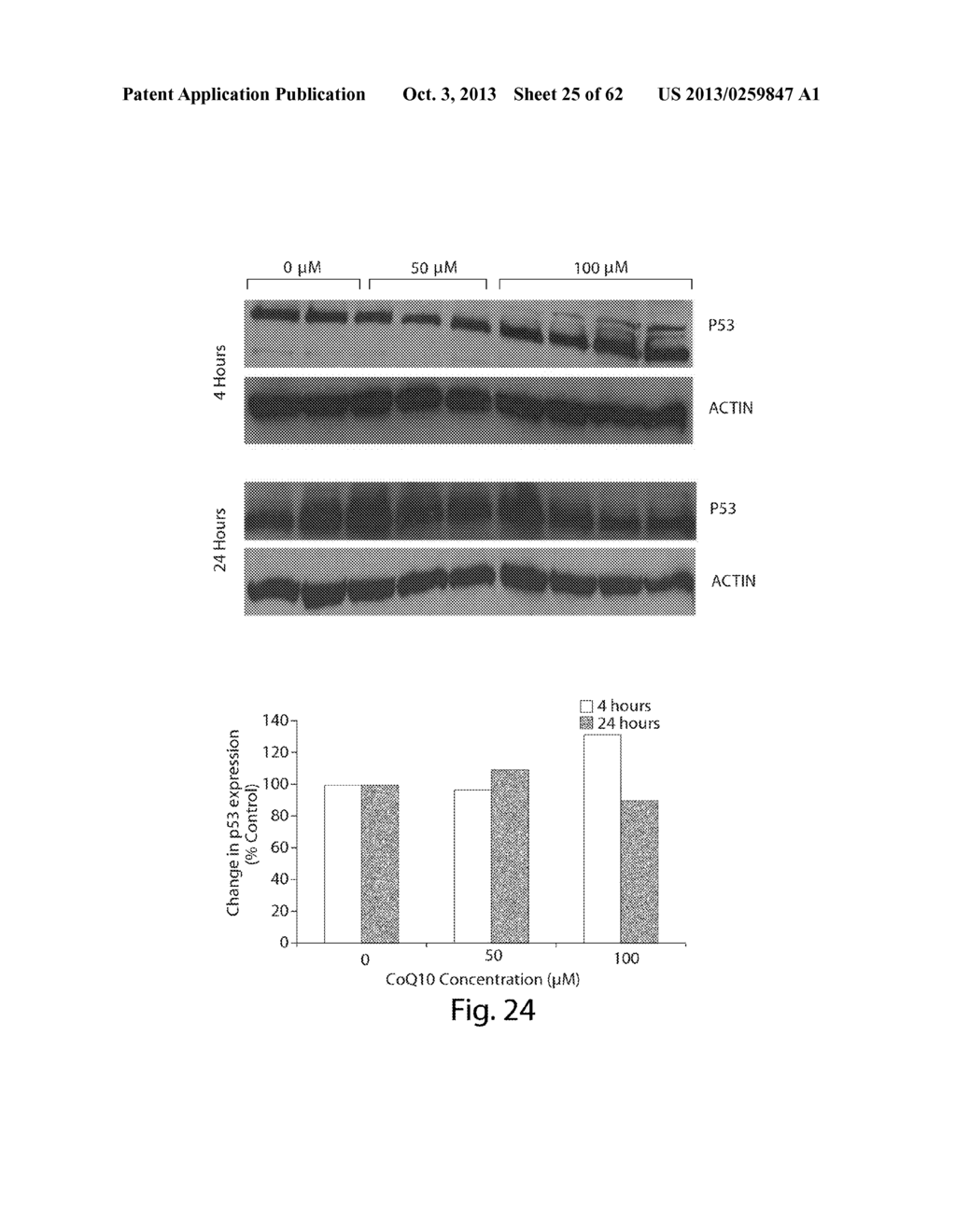 INTERROGATORY CELL-BASED ASSAYS AND USES THEREOF - diagram, schematic, and image 26