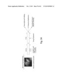 INTERROGATORY CELL-BASED ASSAYS AND USES THEREOF diagram and image