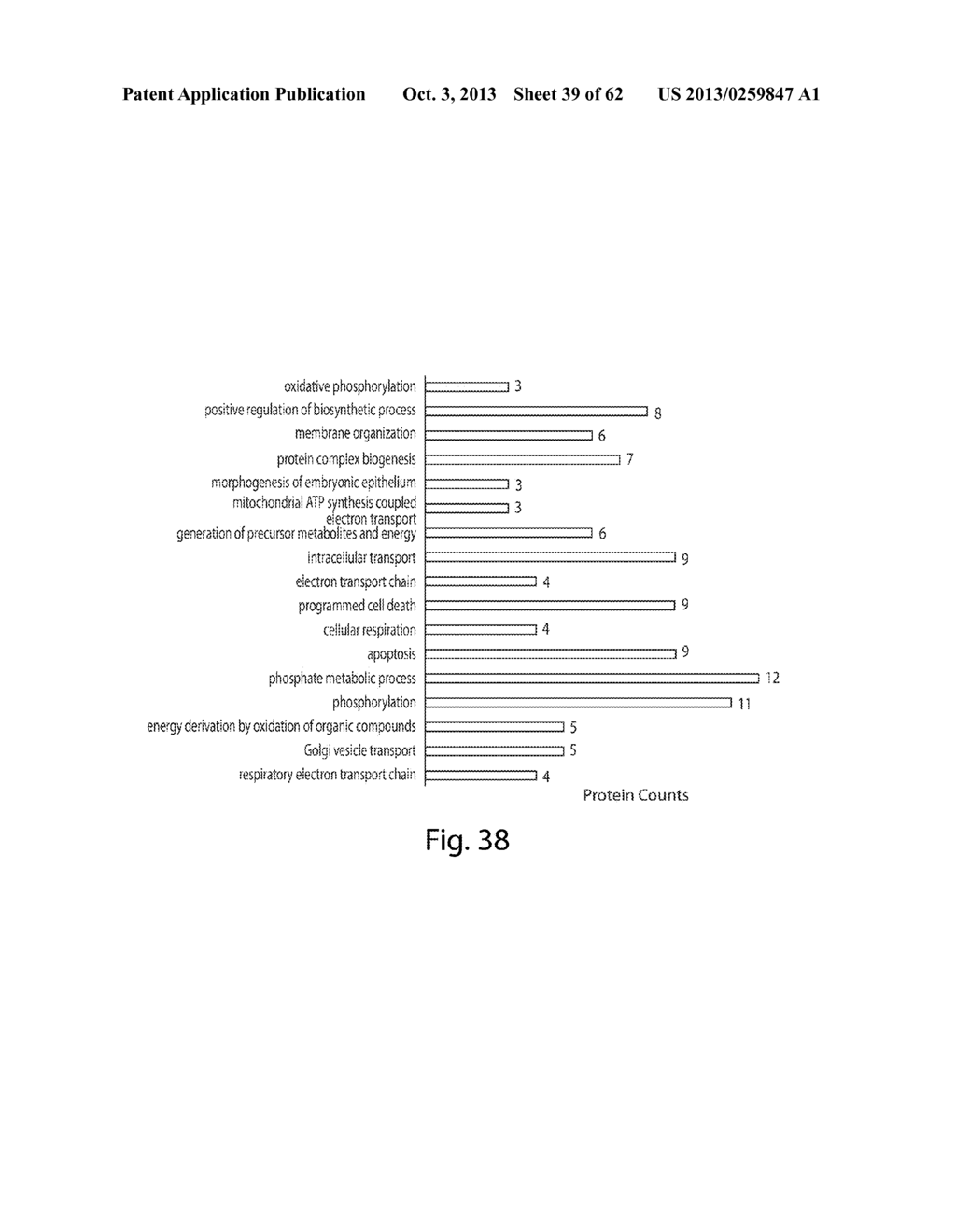 INTERROGATORY CELL-BASED ASSAYS AND USES THEREOF - diagram, schematic, and image 40