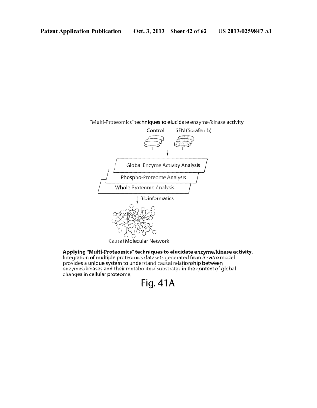 INTERROGATORY CELL-BASED ASSAYS AND USES THEREOF - diagram, schematic, and image 43