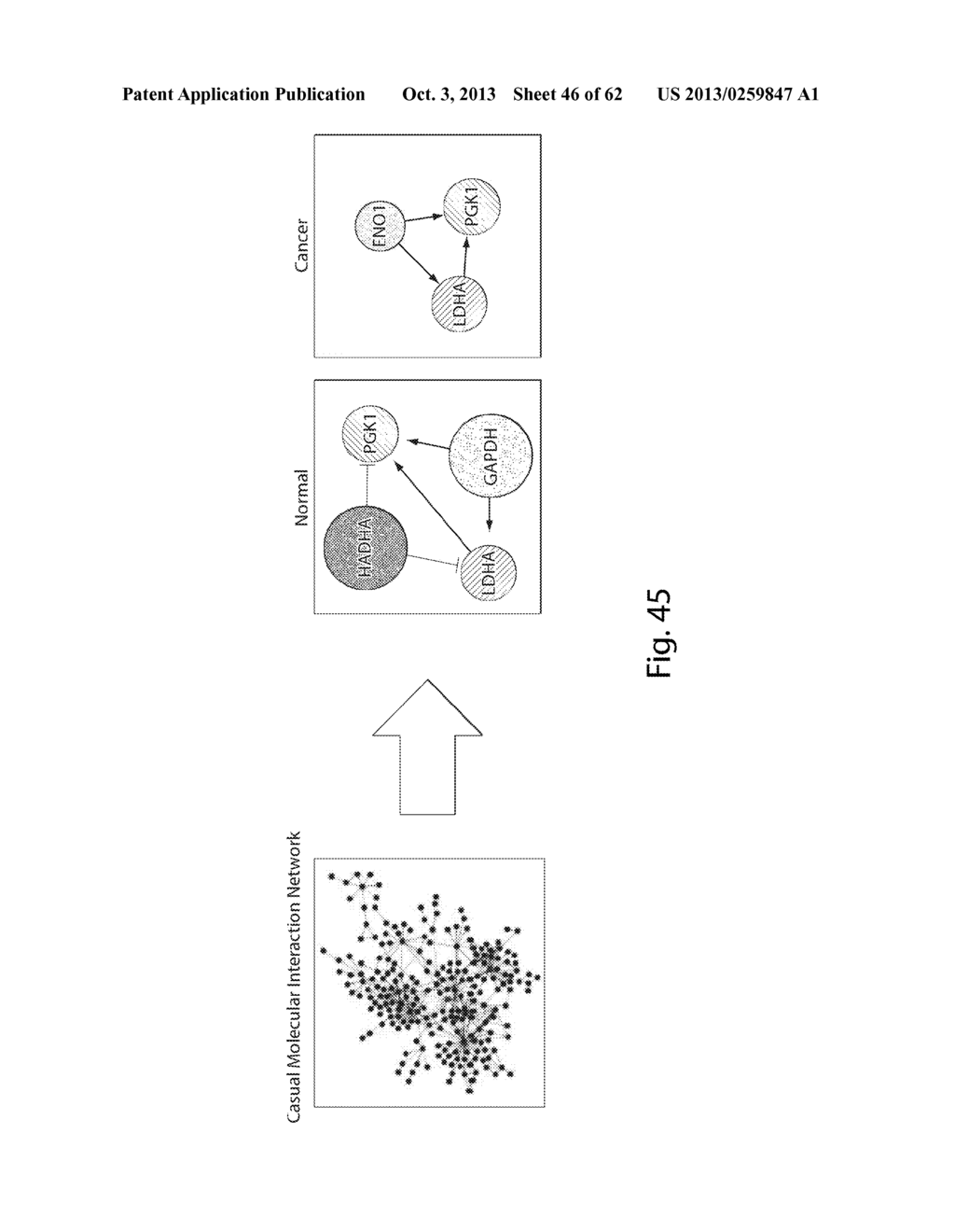 INTERROGATORY CELL-BASED ASSAYS AND USES THEREOF - diagram, schematic, and image 47