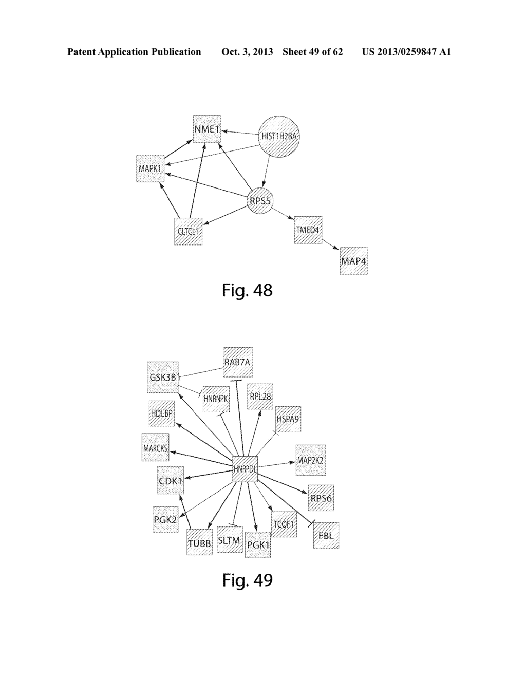 INTERROGATORY CELL-BASED ASSAYS AND USES THEREOF - diagram, schematic, and image 50