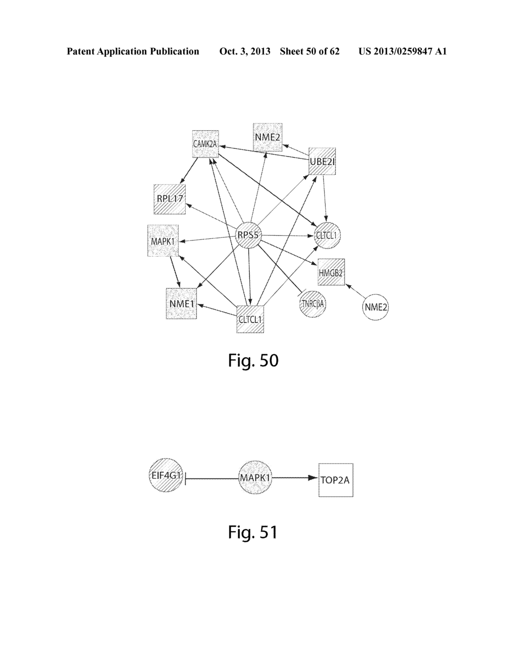 INTERROGATORY CELL-BASED ASSAYS AND USES THEREOF - diagram, schematic, and image 51