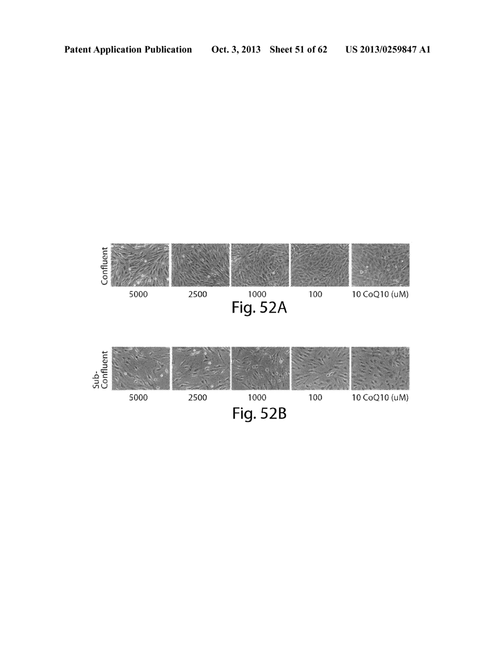 INTERROGATORY CELL-BASED ASSAYS AND USES THEREOF - diagram, schematic, and image 52