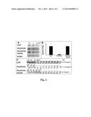 Enhanced Antimicrobial Lytic Activity of a Chimeric Ply187 Endolysin diagram and image