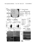 Signature for Predicting Clinical Outcome in Human HER2+ Breast Cancer diagram and image