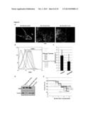 Signature for Predicting Clinical Outcome in Human HER2+ Breast Cancer diagram and image