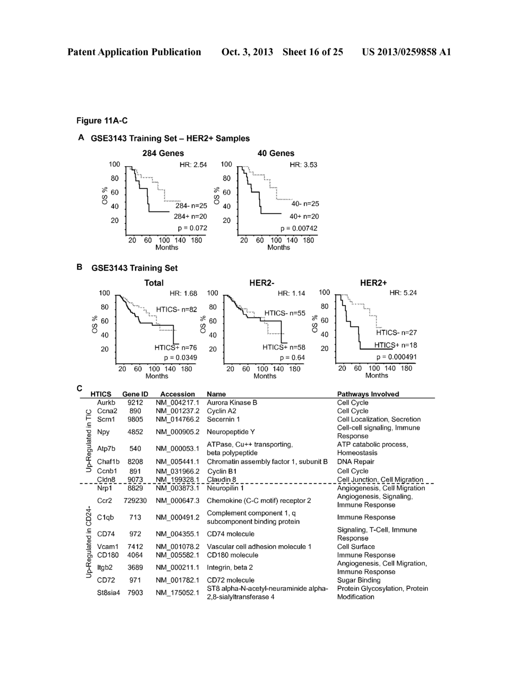 Signature for Predicting Clinical Outcome in Human HER2+ Breast Cancer - diagram, schematic, and image 17