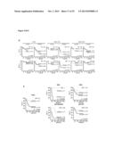 Signature for Predicting Clinical Outcome in Human HER2+ Breast Cancer diagram and image