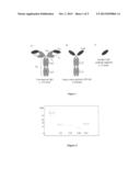 Anti-Cobra Toxin Antibody Fragments and Method of Producing a VHH Library diagram and image