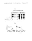 FULLY HUMAN ANTIBODIES TO HIGH MOLECULAR WEIGHT-MELANOMA ASSOCIATED     ANTIGEN AND USES THEREOF diagram and image