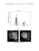 FULLY HUMAN ANTIBODIES TO HIGH MOLECULAR WEIGHT-MELANOMA ASSOCIATED     ANTIGEN AND USES THEREOF diagram and image